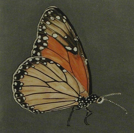 monarchbutterflyptgsquare1a